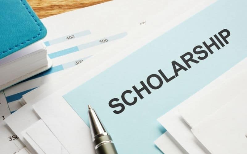 what-is-scholarship-and-fellowship-difference-between-these-two