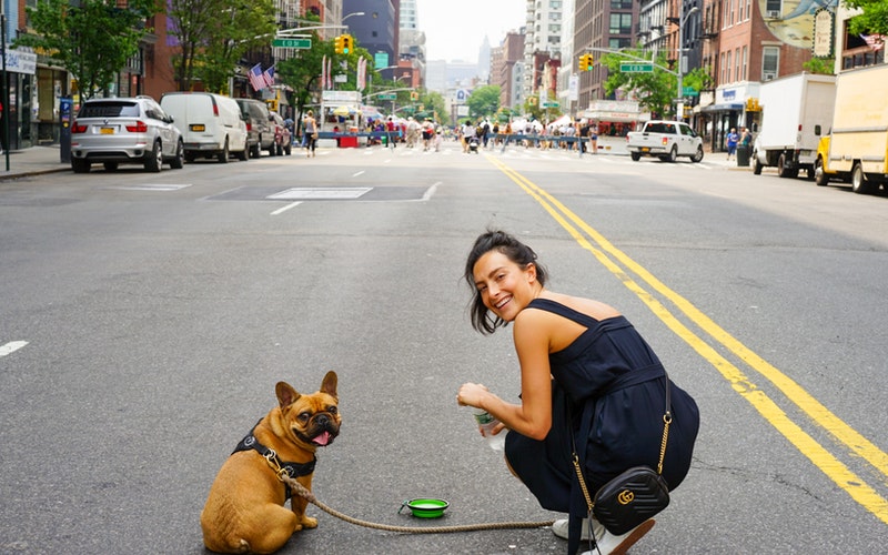 dog with student