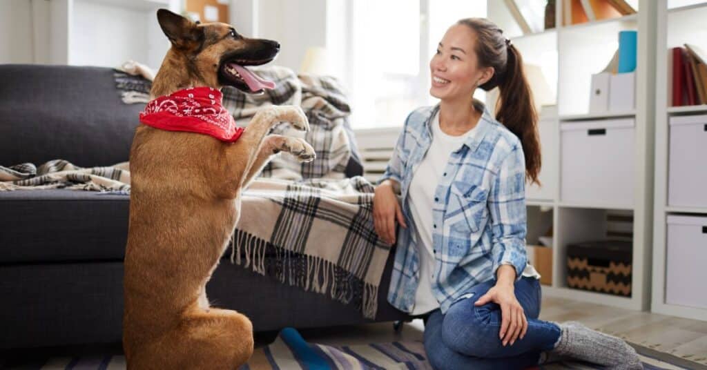 Need A Service Animal for Mental Health? Here's How a Service Dog Can Help Need A Service Animal for Mental Health? Here's How a Service Dog Can Help