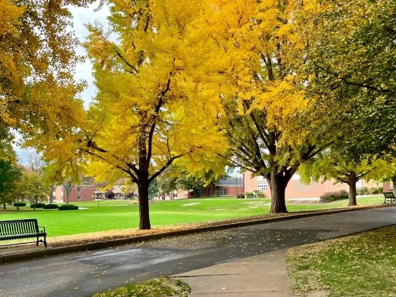 arizona campus