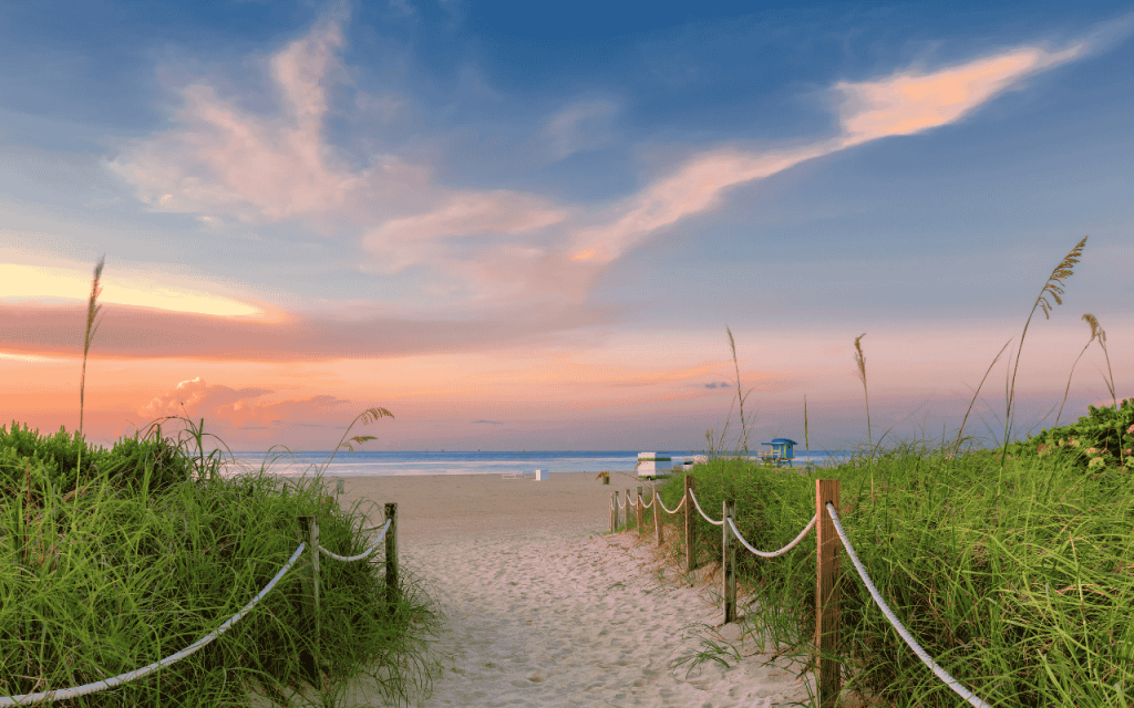 grassy path to the beach in florida