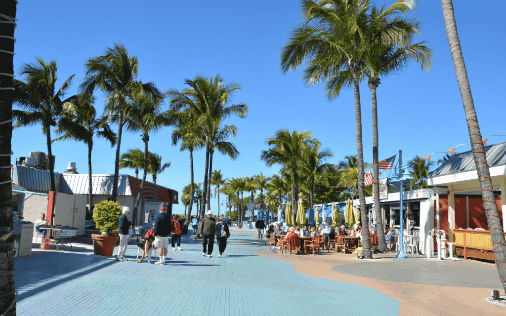 street lined with palm trees and shops in florida