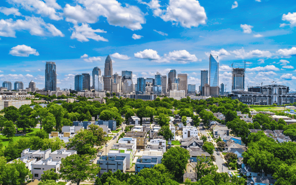 blue sky with white clouds over city skyline, trees in foreground