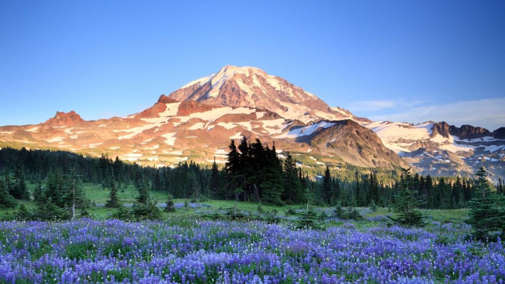 snow-capped mountain in washington