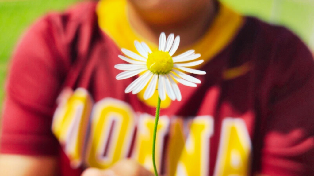 parent in red shirt holding up daisy