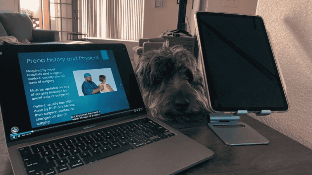 single parent studies for medical courses on laptop with dog in background