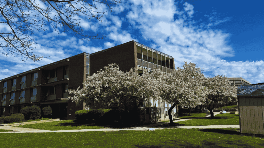 college campus with white flowering trees