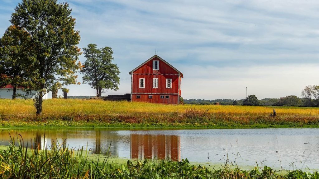 red barn in field beside lake