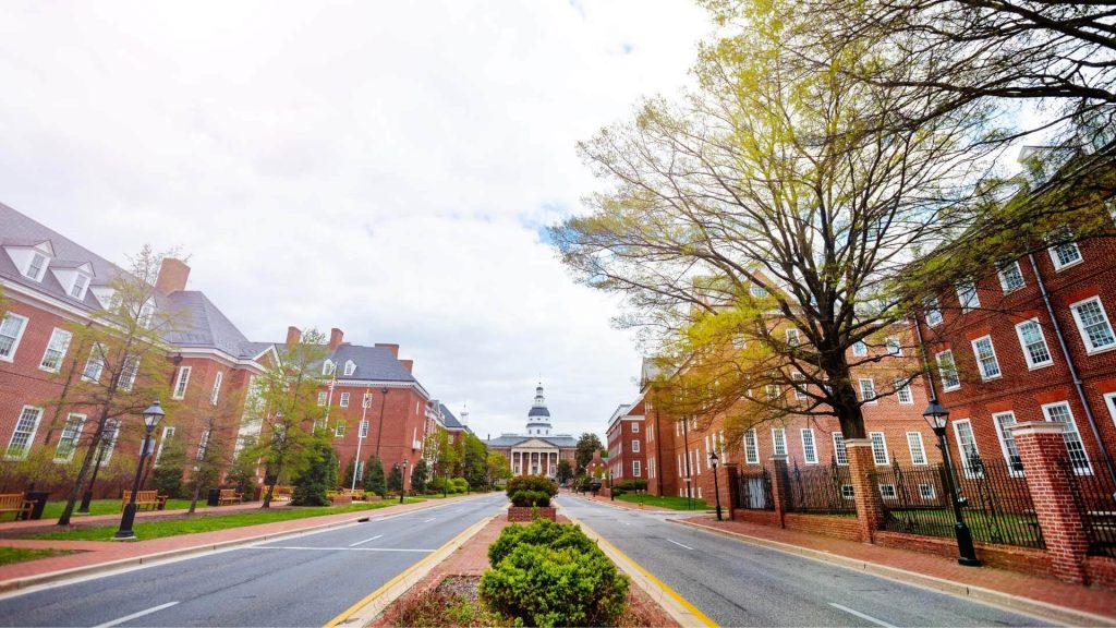 maryland street lined with trees and brick buildings