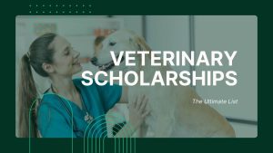 veterinary scholarships