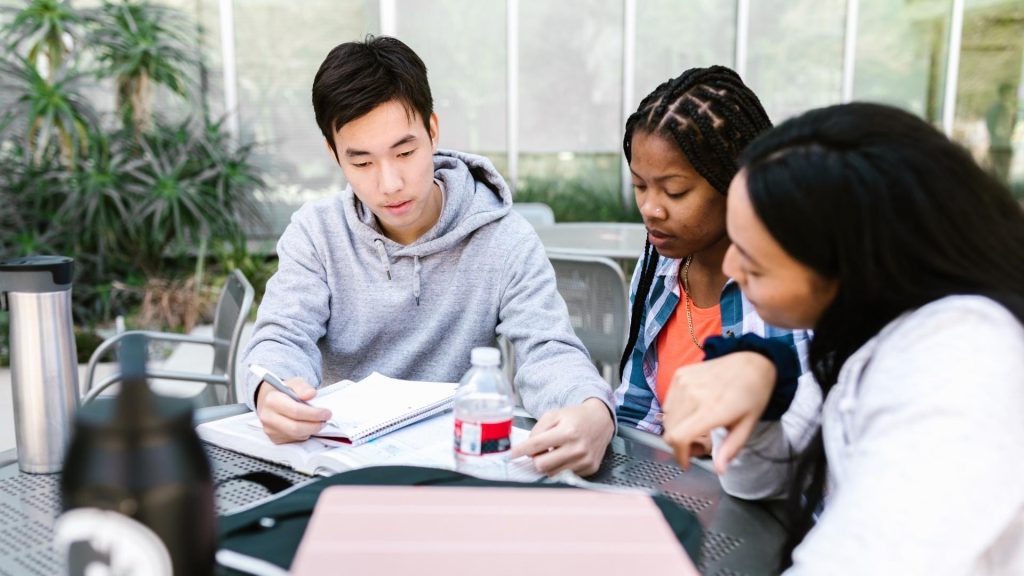 criminal justice students study together